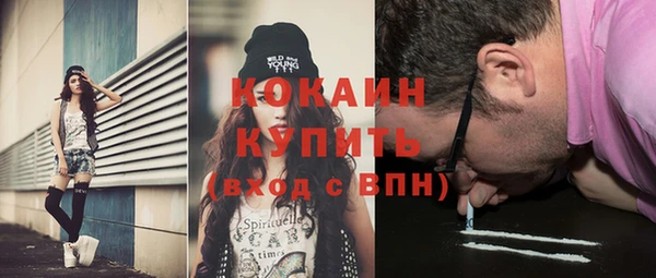 мяу мяу мука Елабуга
