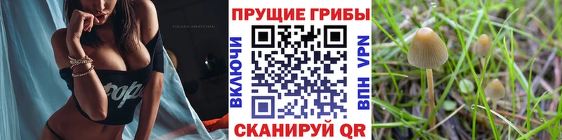Галлюциногенные грибы мухоморы  Купить закладки  Мамадыш 